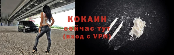 крисы Болхов