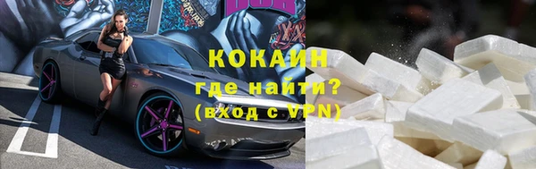 дживик Абаза