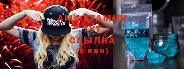 ПСИЛОЦИБИНОВЫЕ ГРИБЫ Болотное