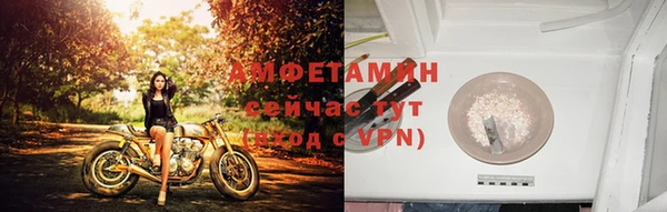 дживик Абаза