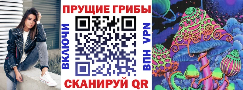 нарко площадка телеграм  купить наркоту  Жердевка  Псилоцибиновые грибы мицелий 