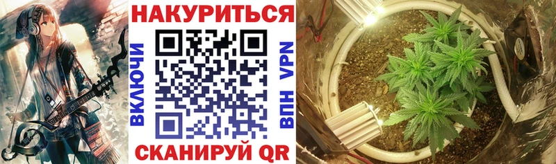 цена наркотик  Жердевка  Бошки марихуана AK-47 